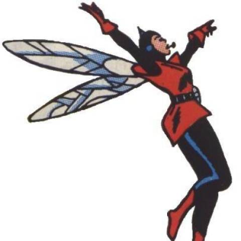 the wasp early appearance